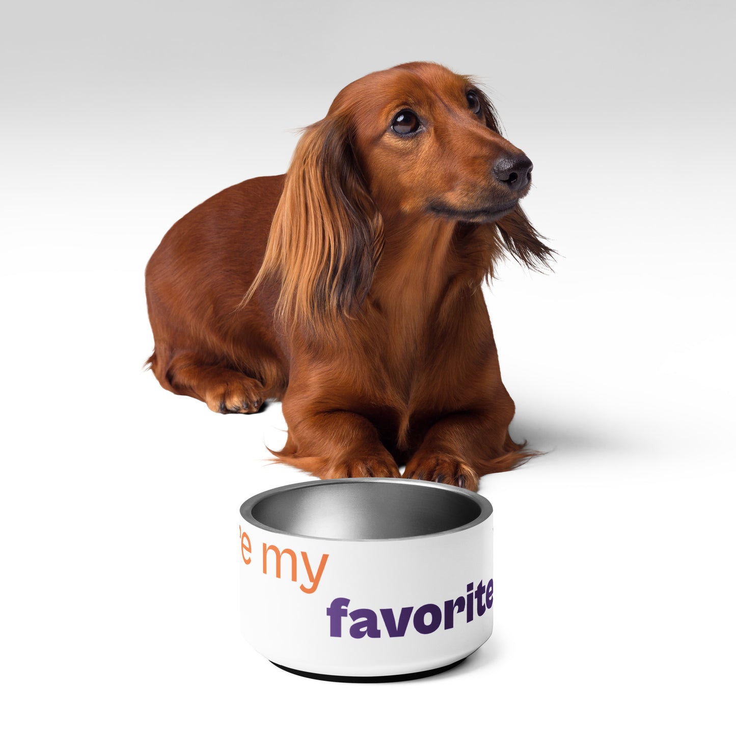 " Dogs are my favorite people " Pet bowl