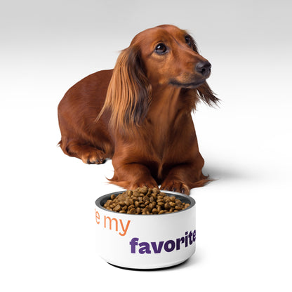 " Dogs are my favorite people " Pet bowl