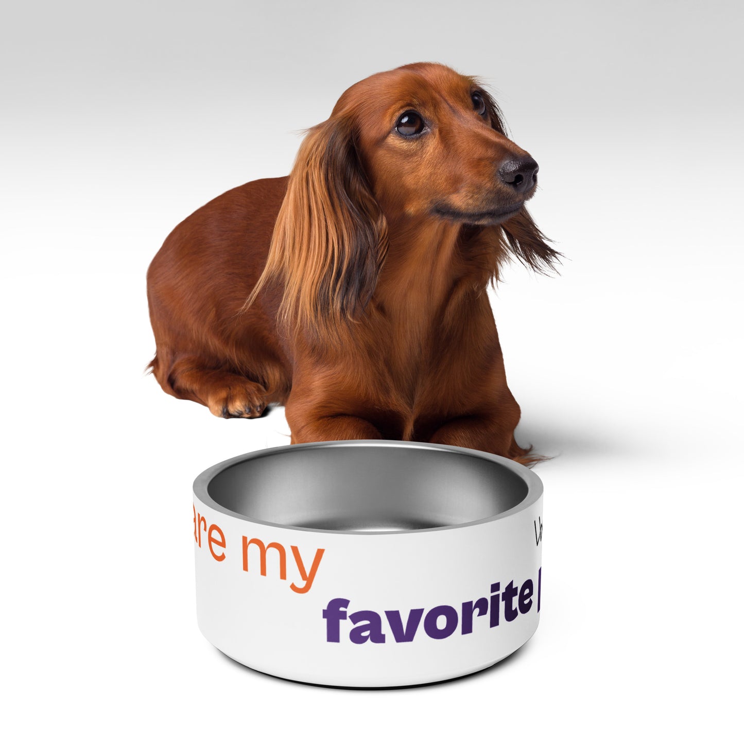 " Dogs are my favorite people " Pet bowl