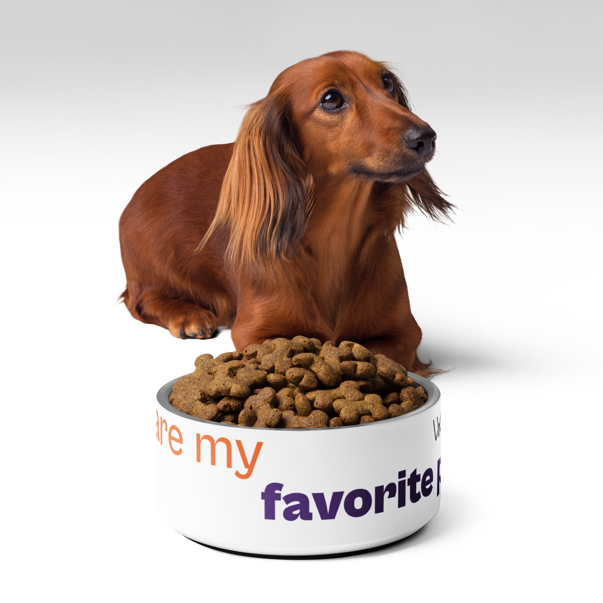 " Dogs are my favorite people " Pet bowl